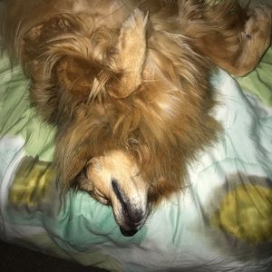 Meet your Posher, Terri